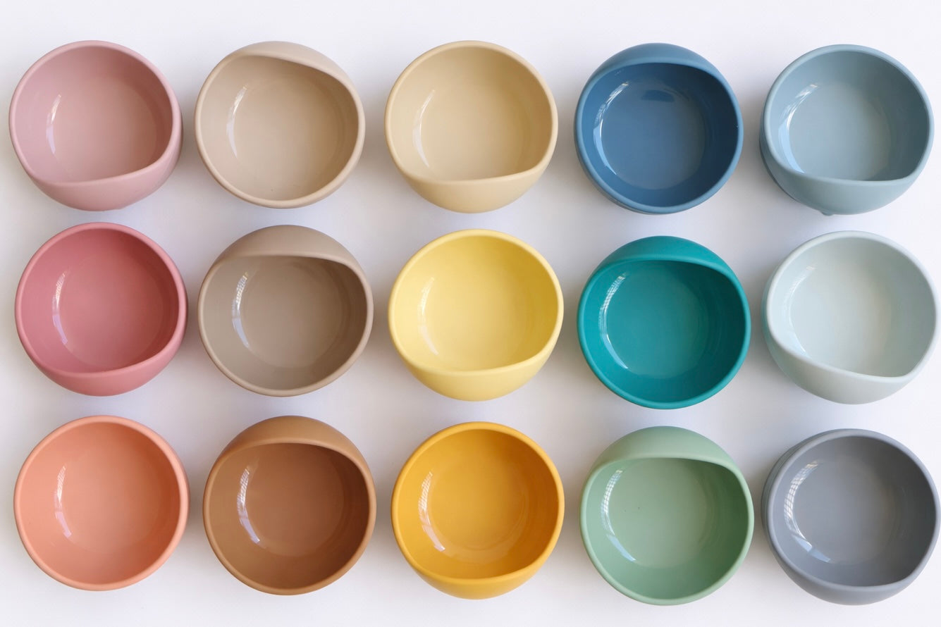 Silicone Bowl